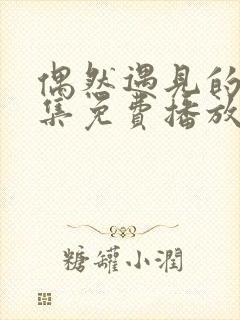 偶然遇见的你全集免费播放在线观看