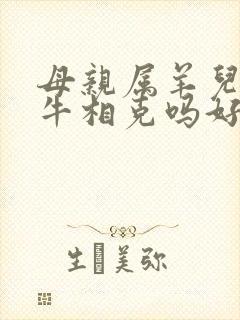 母亲属羊儿子属牛相克吗好吗