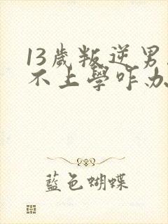 13岁叛逆男孩不上学咋办