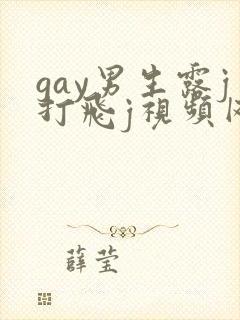 gay男生露j打飞j视频网站