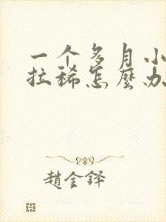 一个多月小泰迪拉稀怎么办