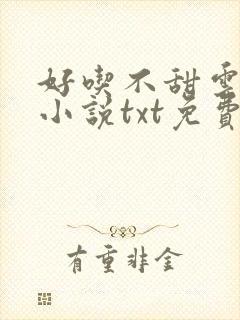 好吃不甜云朵糖小说txt免费封面