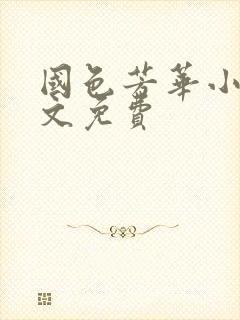 国色芳华小说全文免费