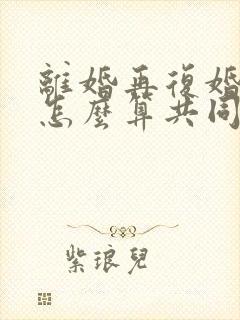 离婚再复婚财产怎么算共同财产的封面