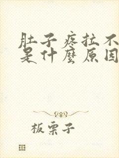 肚子疼拉不出屎是什么原因