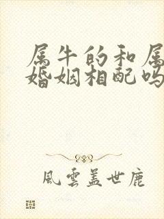 属牛的和属鼠的婚姻相配吗