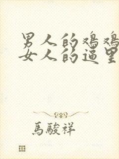 男人的鸡鸡插进女人的逼里面