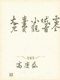 大事小城电视剧免费观看全集高清