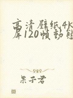 高清壁纸4k全屏120帧动态