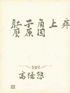 肚子角上疼是什么原因