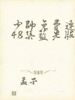 少帅免费连续剧48集蓝光版