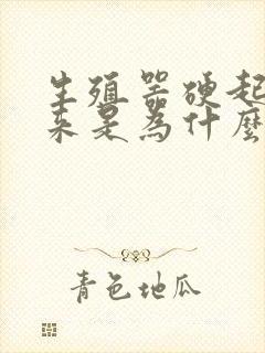 生殖器硬起不起来是为什么