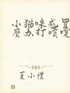 小猫咪感冒了怎么办打喷嚏流鼻涕