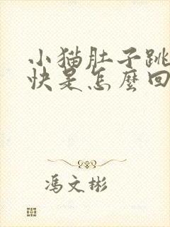 小猫肚子跳的很快是怎么回事