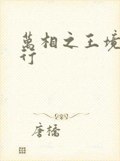 万相之王境界排行