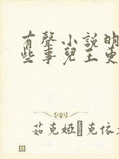 有声小说明朝那些事儿王更新