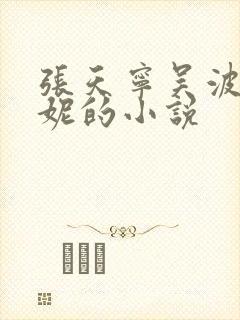 张天宁吴波李曼妮的小说