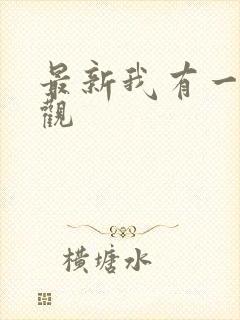 最新我有一剑叶观