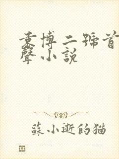 袁博二号首长有声小说