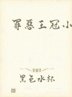 罪恶王冠小说