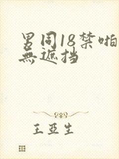 男同18禁啪啪无遮挡