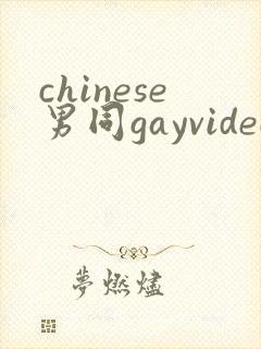 chinese男同gayvideos