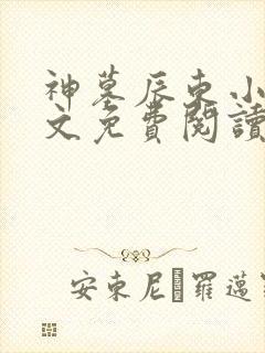 神墓辰东小说全文免费阅读