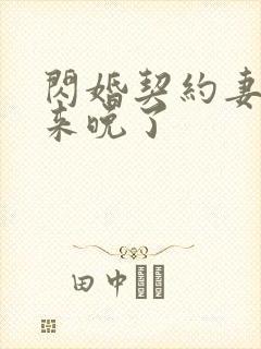 闪婚契约妻为夫来晚了封面