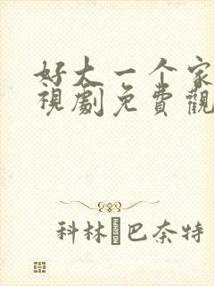 好大一个家 电视剧免费观看