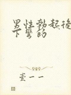 男性勃起后是向下弯的