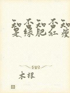 知否知否知否应是绿肥红瘦在线免费封面