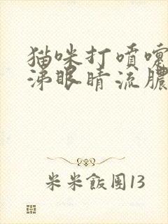 猫咪打喷嚏流鼻涕眼睛流脓还红肿