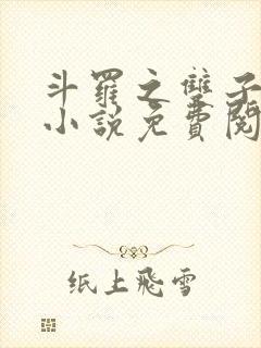 斗罗之双子斗罗小说免费阅读