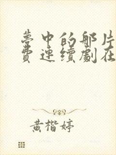 梦中的那片海免费连续剧在线