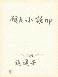 超h小说np