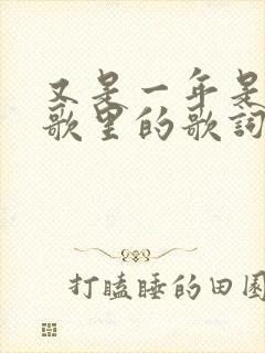 又是一年是哪首歌里的歌词封面