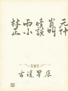 林雨晴肖元林文正小说叫什么名字