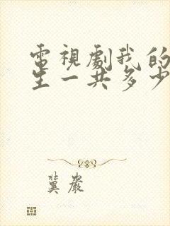 电视剧我的后半生一共多少集