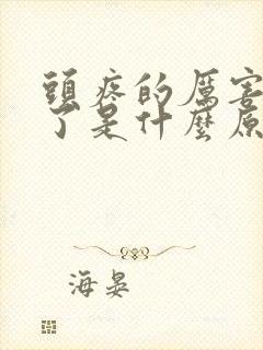 头疼的厉害又吐了是什么原因