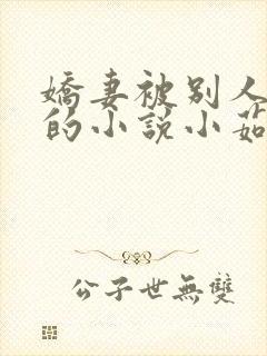 娇妻被别人强干的小说小茹