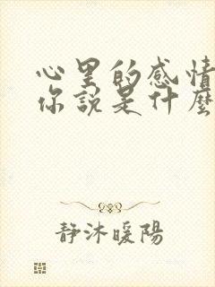 心里的感情都对你说是什么歌