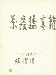 怎么样才能争取小孩抚养权封面