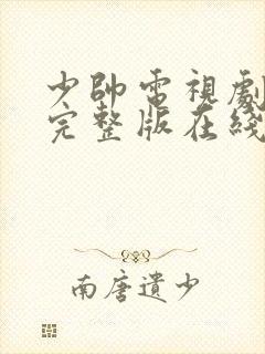 少帅电视剧免费完整版在线看封面