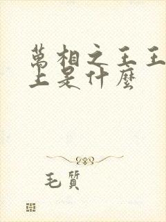 万相之王王境之上是什么