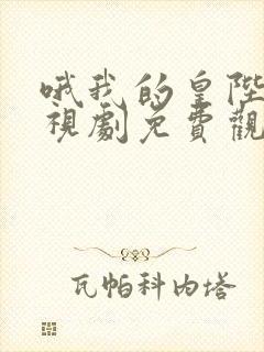 哦我的皇陛下电视剧免费观看第一季