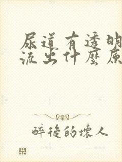 尿道有透明液体流出什么原因