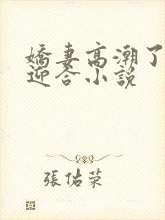 娇妻高潮了开始迎合小说封面