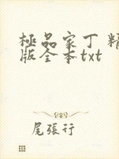 极品家丁 精校版全本txt