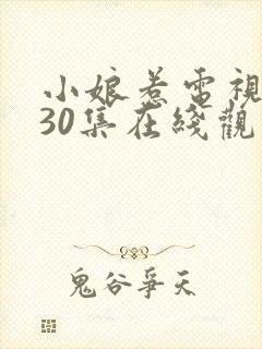 小娘惹电视剧第30集在线观看免费