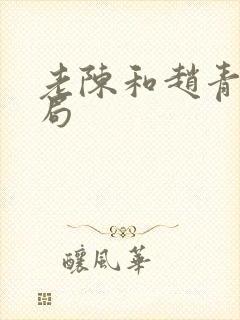 老陈和赵青的结局封面